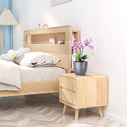 Hemoplt Plant Pots Pack Of 4, 6.3" Self Watering Pots For Indoor Plants, African Violet Pots, Self Watering Pots, Planters For Indoor Plants, White, Deep Green, Black Silver, Rose Gold #TOP4