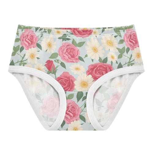 Wusikd Vintage Roses Girls' Underwear Cotton Daisies Girls Briefs Soft Toddler Underwear 2T