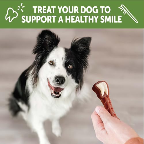 Image of Whimzees Wellness Brushzees Natural Dog Dental Treat, VOHC Accepted Chews, Freshens Breath, Medium Size, Bag, 12 Count, 12.7 Ounce (Pack of 6)
