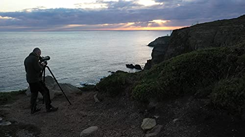 Kowa Tsn-99A Spotting Scope Kit, Angled With Te-11Wz Ii 30-70X Zoom Eyepiece #TOP6