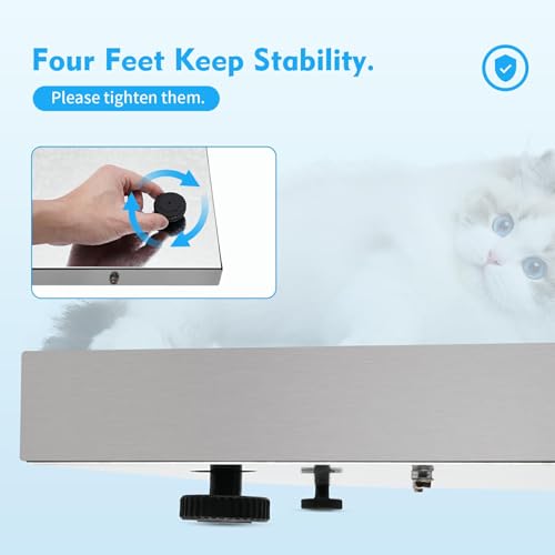 Báscula Digital para Mascotas, Capacidad 200 lb miniatura 6