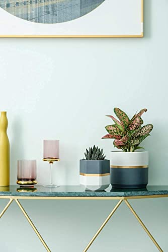 Mkono Set Of 5 Cement Succulent Planter And Ceramic Planter, Modern 4'' Clay Flower Pots 5 And 6.3 Inch Geometric Gardening Pots With Drainage For Cactus Herb Or Small Plants Home Decor Gift Idea(Pla #TOP4