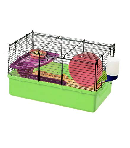 hamster fun home