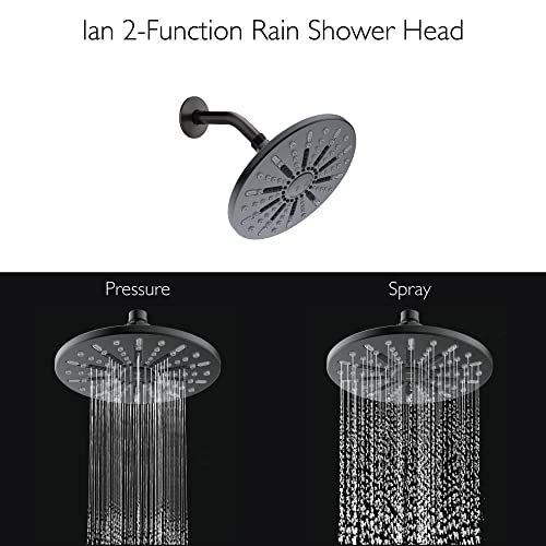 Design House 582718-Blk Ian Modern 8-Inch 2-Function Showerhead, Matte Black #TOP4