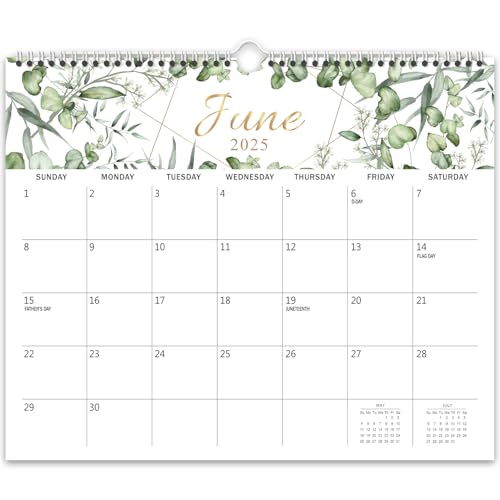 GuassLee Wall Calendar 2025, 19-Months Hanging Desk/Wall Calendar Runs From Jun. 2025 to Dec. 2026, 14