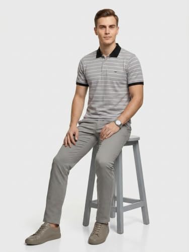 Image of Park Avenue Men Slim Fit Stripe Pattern Pure Cotton Polo Neck Half Sleeve Casual T-Shirt