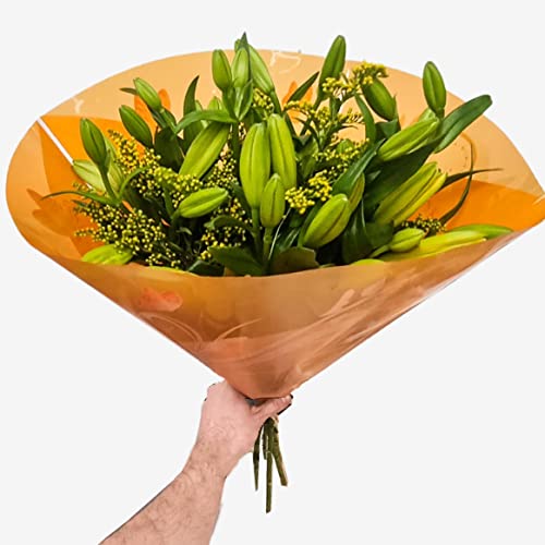 Just Lilies - Orange Lily Flower Bouquet, Fresh Flowers, Flowers Delivered Next Day, Flowers Fresh Bouquet, Perfect for Birthdays, Anniversaries and Thank You Gifts.