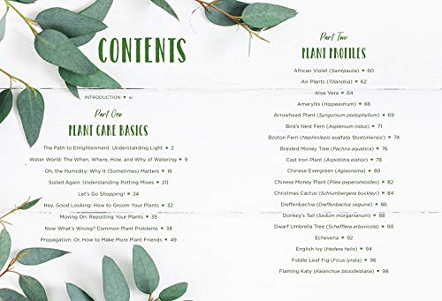 How to Houseplant: A Beginner's Guide to Making and Keeping Plant Friends - Image 3