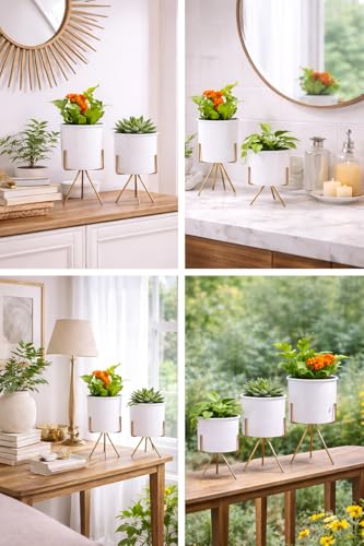 Image of Planters for Indoor Planters Indoor Plant Stands with Pots (White /Gold (Short Stands) Set of 3)