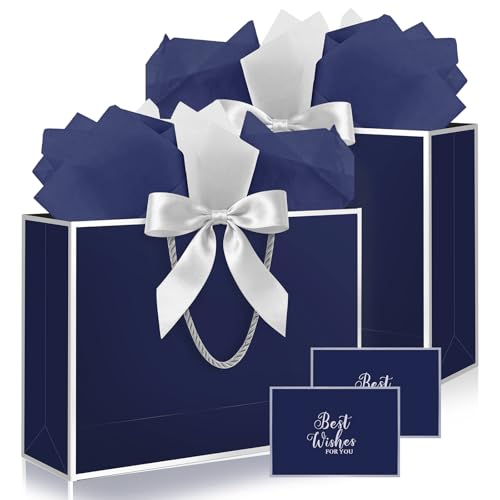 Ethhqu Fancy Large Gift Bags with Handles 2 Pack 12.6x10x4 Inches - Includes Tissue Paper & Cards for Birthday Valentines Day Baby Shower Wedding Anniversary & Holiday Gifts (Blue and Silver)