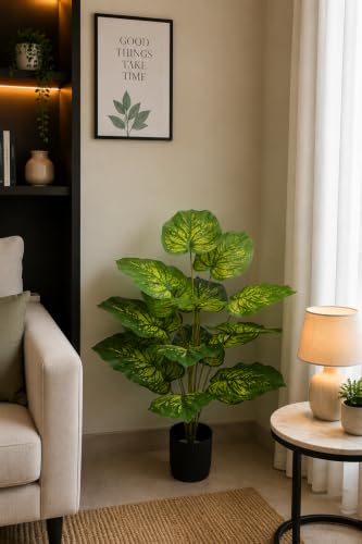 Image of Cocco.BUA Artificial Plant with Black Pot, 18 Leaves, 76 CM (2.5 Feet) (Dieffenbachia Leaf Plant)