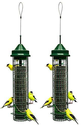 Brome 1016 Squirrel Buster Finch Squirrel-Proof Bird Feeder, Set Of 2 (2 Items) #TOP4