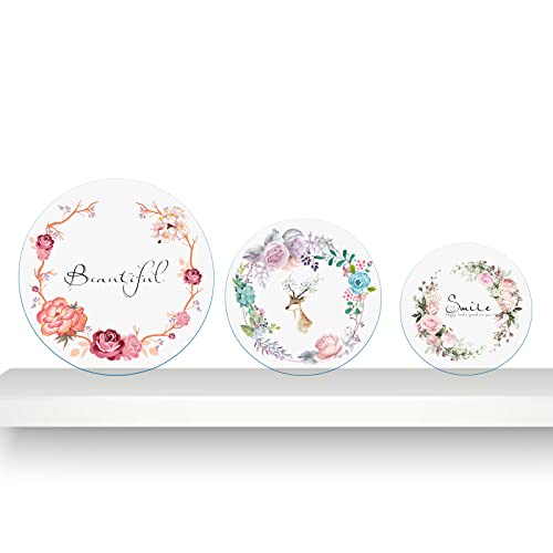 Image of 2 Pieces 1 /8 inch Round Plexiglass Sheet, 17 Inch Diameter Clear Acrylic Circle, Round Cake Disk Acrylic Sheet, Plexiglass Table Top, Acrylic Backdrop