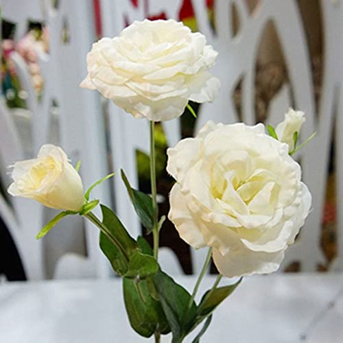 ZHOUBAA Lot de 50 graines pour le jardinage, le balcon, l'Eustome, le lisianthe, la décoration de la maison - 1 Cover