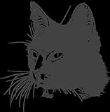 Poster Plakat Katze Zeichnung Skizze Bleistift Hauskatze Kunstwerk