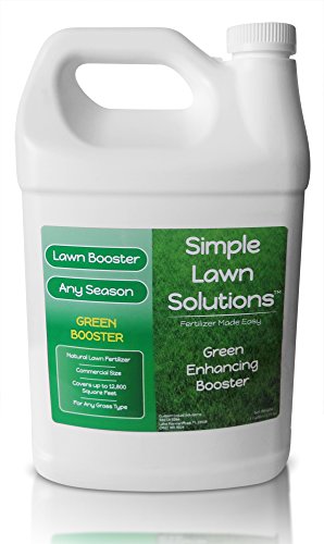 Intense Green Grass Enhancing Booster- Natural Spray Concentrated Liquid Fertilizer Micronutrient- Any Grass Type, All Season- Simple Lawn Solutions (1 Gallon)