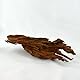 Bachflohkrebse Mangrovenwurzel für Aquarien und Terrarien 12-15 cm Wurzel Mangroven