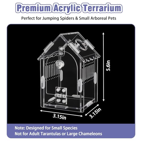 Image of Acrylic Jumping Spider Enclosure with Magnetic Latch