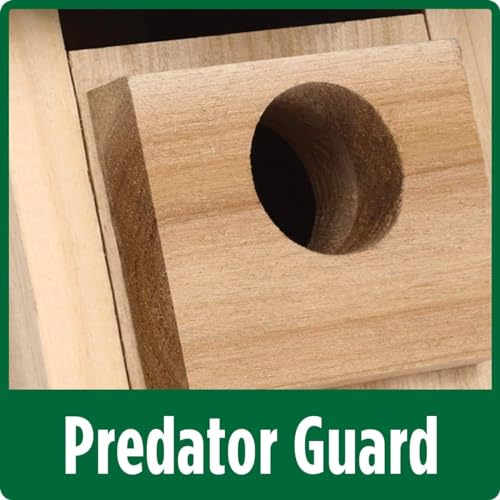 Wild Wings WWCH3 Cedar Blue Bird Box House, Bluebird Box House - Image 4