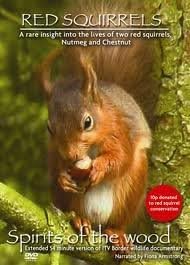 Red Squirrels