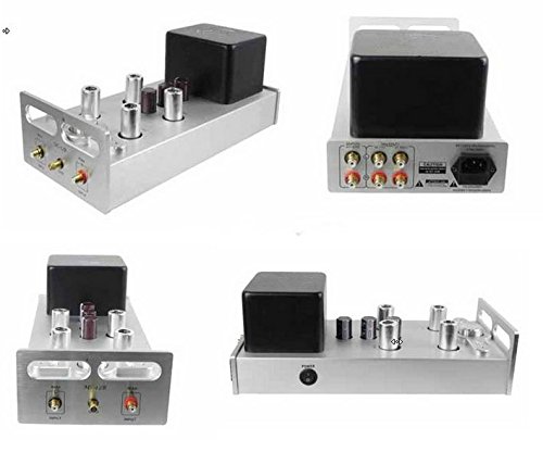 GOWE 12AX7 Préamplificateur à tube stéréo et préampli à tube phono pour platine vinyle