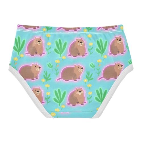 Triangle Panties Underwear Moisture Wicking Comfort Underwear for Kids in Sizes 2T,3T, 4T, 5T, 6Y and 8Y2