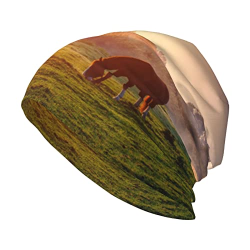 Yiduoduox Rose Gold Rose Unisex Adulto Gorro Loose Soft Knit Beanie Hat Warm and Durable Hat For Cold Weather Cap, Caballo al atardecer, Talla única