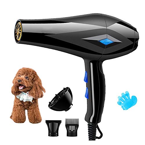 YLXD Professionnel Sèche-Poils pour Chien, Toilettage Séchoir Pulseur Chiens Chats Animaux, Réglable Vitesse du Vent et Plage de Température Chien Dog Sèche-Cheveux,avec Lumière Bleue