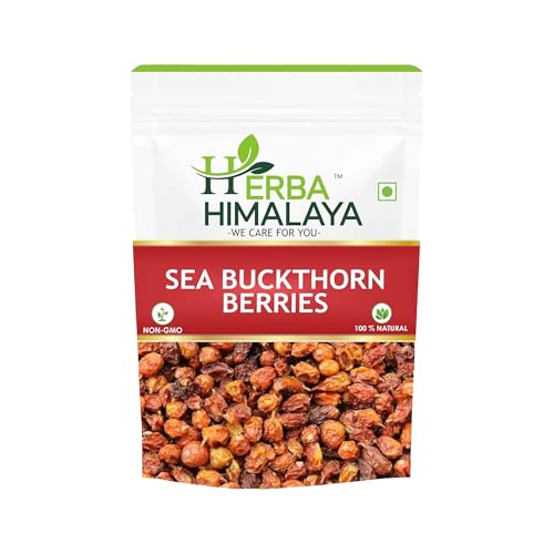 Herba Himalayan Sea Buckthorn Berry 100g Natural Dried Superfruit Rich in Omega Fatty Acids with Vitamin C and E Perfect for Snacking Smoothies and Healthy Recipes