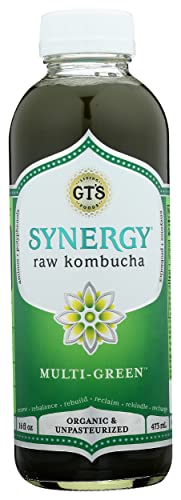 Gt's Kombucha, Multi,Green 16 Fl Oz #TOP11