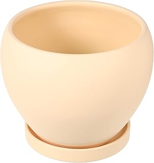 Yardwe Vaso de cerâmica suculenta em forma de ovo cacto plantas recipiente vaso decorativo de mesa vasos de plantas redondos com furo de drenagem pires para plantas internas ao ar livre bege