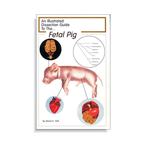 Manuel de dissection cochon Ranaco W4R5313 livret pédagogique de biologie