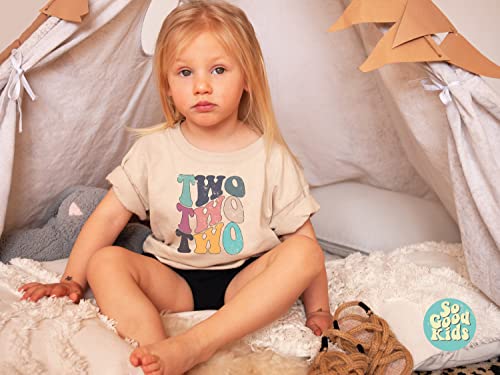 Two Year Birthday Shirt, Toddlers 2nd Birthday Shirt, Groovy Two Year Shirt4