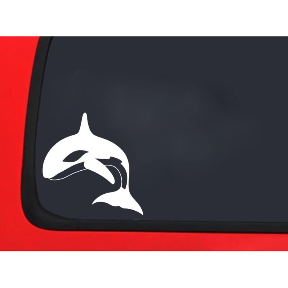 Scritte Personalizzate Veicolo Adesivi Personalizzati Per Auto, Furgoni E Veicoli - Decalcomanie Scritte E Grafiche Su Misura Decalcomanie Grafiche Furgone - Foto 2