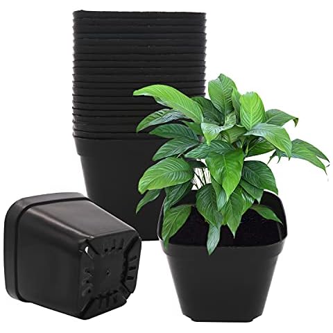Plastic Square Plant Pots 10 cm 20 Pcs Succulent Planter Nursery Pots for Flower Staring Seedling Cover
