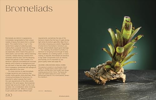 Hello Tiny World: An Enchanting Journey into the World of Creating Terrariums - Image 8