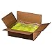 Franklin Sports Outdoor - X-40 Pickleball Balls - USA (USAPA) Approved - 12 Pack Outside - Optic Yellow - US Open Ball