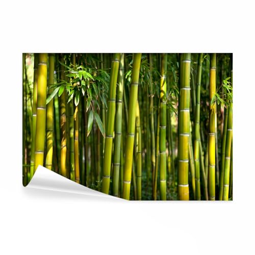 decomonkey - Papier Peint Panoramique Adhésif Bambou Nature 392x280 cm - Stickers Muraux Chambre Déco XXL Autocollant - Vert gris jaune - Asie bambous feng...
