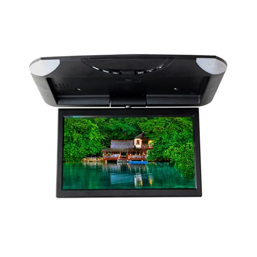 10,1 Zoll Auto TFT LCD LED Dachmontage Flip Down Deckendisplay 2 AV-Eingänge Unterstützung Rückfahrkamera,Black
