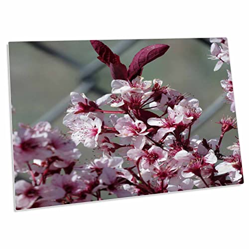 3dRose Desk Pad con flores rosas y granate 23x16 pulg