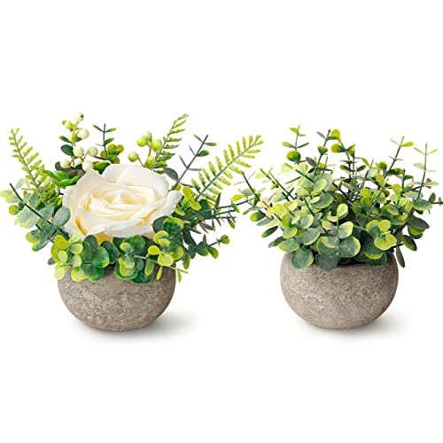 2 Pack Mini Fake Plants Artificial Flowers Potted Silk Roses And Eucalyptus Plants Potted Plants Artificial Decor For Home Office Desk Farmhouse Room Decor Bathroom Decor Bedroom Decor(White) #TOP9