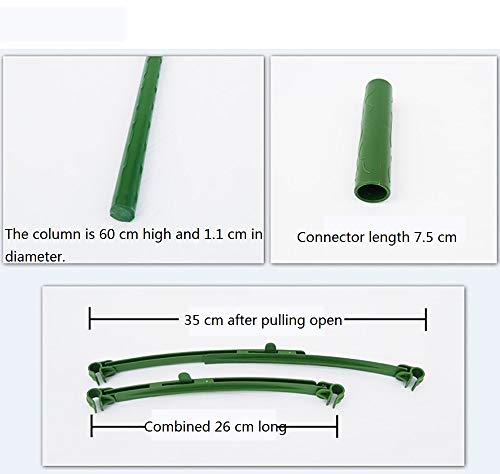 ZHANGZHIYUA Plantas en jaulas Ensambladas Tomate Jaulas en el ...