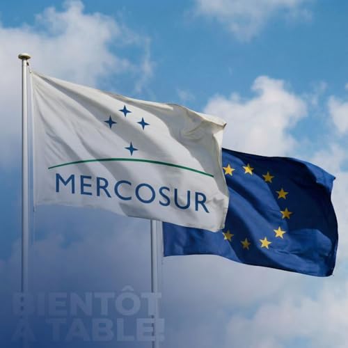 Mercosur et maintenant, on fait quoi?
