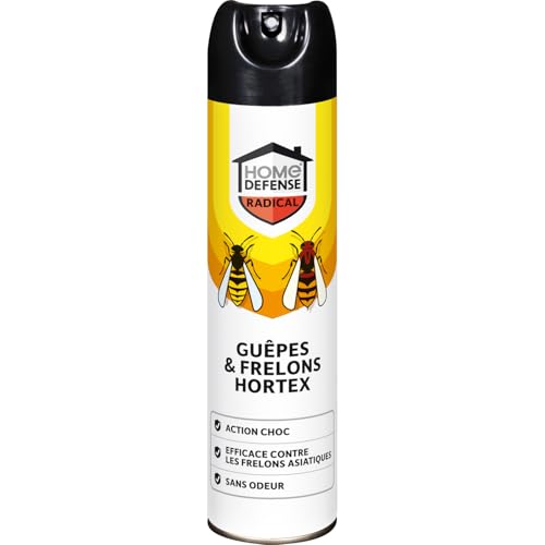 KB HOME DEFENSE HDGUEP - Aérosol Anti-Guêpes et Frelons 400 ml - Efficace sur frelons asiatiques et tous les insectes volants - Action foudroyante - Formule...