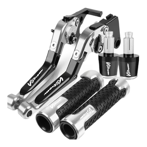 ̂߂ɃXYL DL1000 VXg[ 2002-2018 2019 2021 oCNp u[L Nb`o[ nho[ nhObv(Silver)