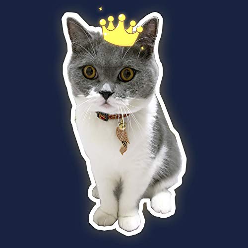 ICICECREAM 2 PACK Breakaway Cat Collar with Bells & Koinobori Japanese Cat Collar Soft Adjustable Cotton & Leather… - Image 5