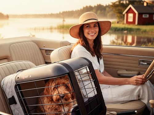 4pets Caree ISOFIX Connector Set