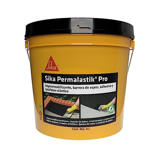 La Mejor Recopilación de Sika - 5 favoritos. 5