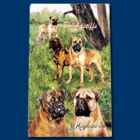 Bolígrafos Roller Ink Bullmastiff Pack de 2