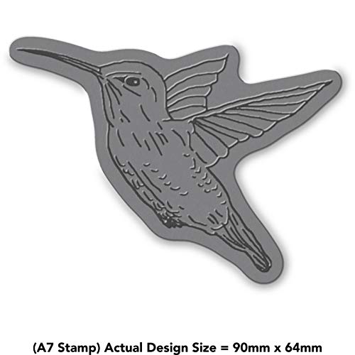 'Hummingbird' Rubber Stamp - Unmounted Design for Crafting & Scrapbooking, A7 (RS00034594)